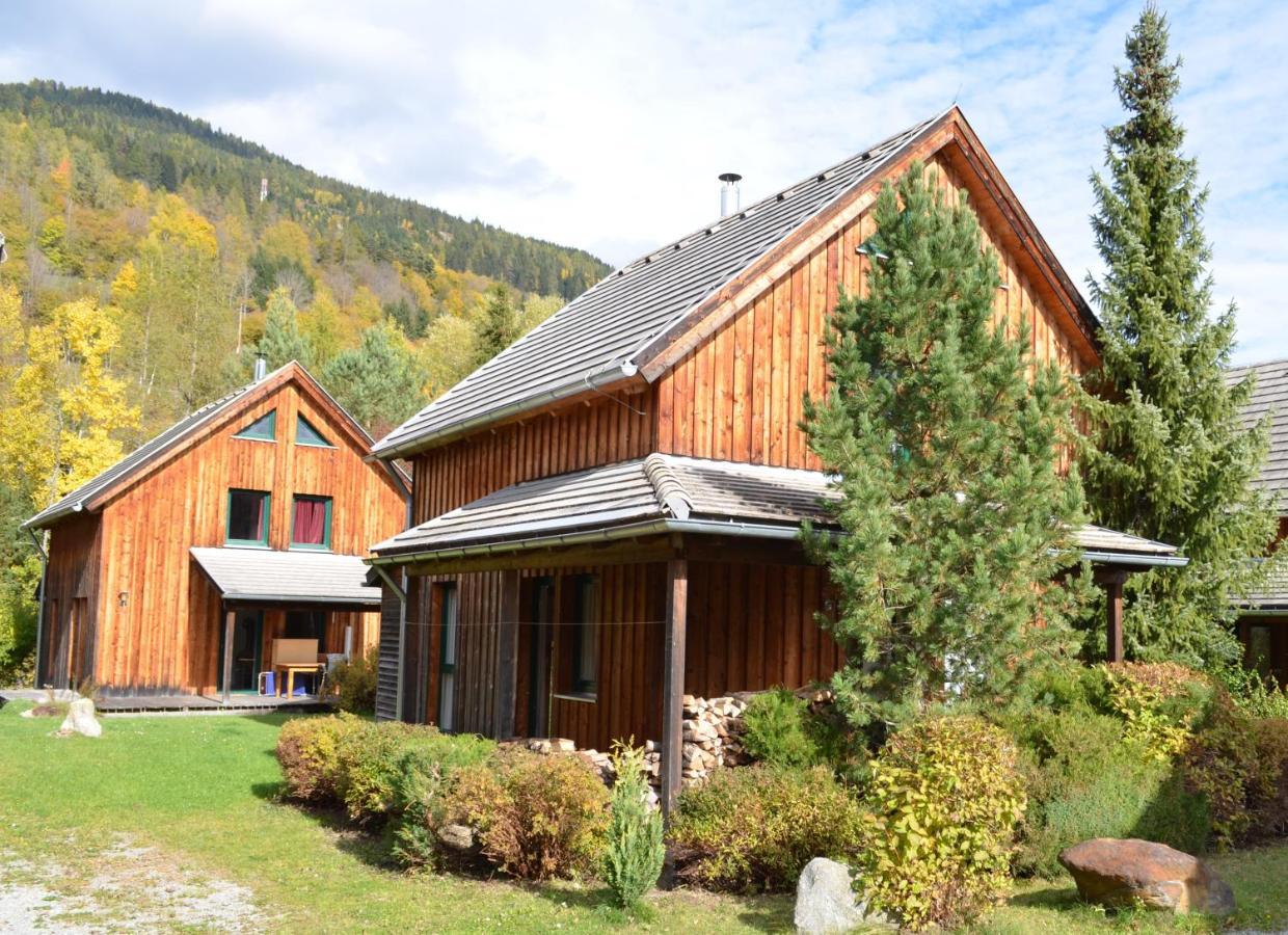 Ferienhaus Kreischberg سانكت جورجين أوب موراو المظهر الخارجي الصورة